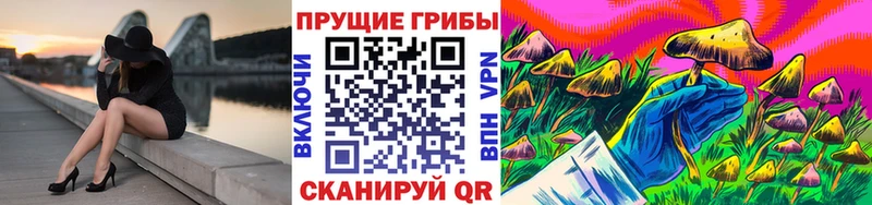 Галлюциногенные грибы GOLDEN TEACHER Покров