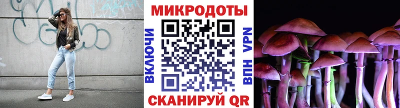 Псилоцибиновые грибы MAGIC MUSHROOMS  Покров 